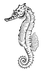 Natural hand drawn illustration of sea horse