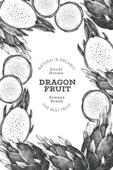 Hand drawn dragon fruit design template. Organic fresh food vector illustration. Retro pitaya fruit banner.