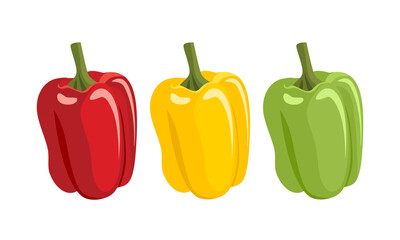 Set of bell peppers in different colors. Yellow, red and green fresh vegetable. Vector illustration in cartoon flat style. Food icon.