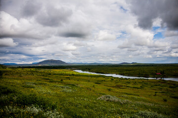 Fototapeta na wymiar Summer landscape in Southern Iceland, Europe