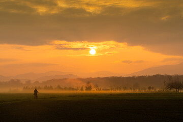 Foggy Sunrise Landscape - Nebeliger Sonnenaufgang Landschaft 