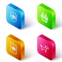 Set Isometric line Animal health insurance, Paw print, Clinical record pet and Dog icon. Vector