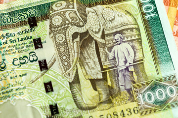 Horizontal macro detail of obverse side of one thousand 1000 Sri Lankan rupee LKR banknote (Elephants) from 1991, adorned with a decorated elephant and its handler, withdrawn from circulation in 2010