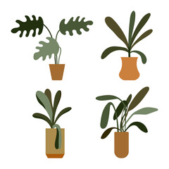 Fototapeta na wymiar Houseplants in pot vector cartoon set isolated on a white background.