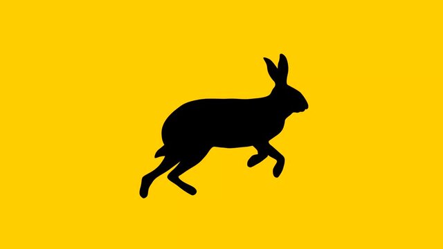 A running hare, animation on the yellow background