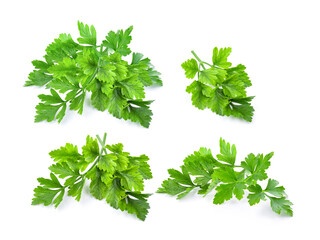 Parsley isolated on a white