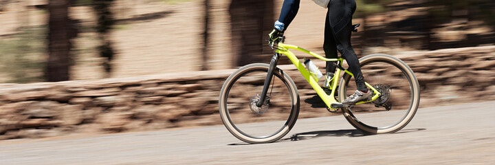 Fototapeta na wymiar Bike panning shot in the forest, mountain bike race