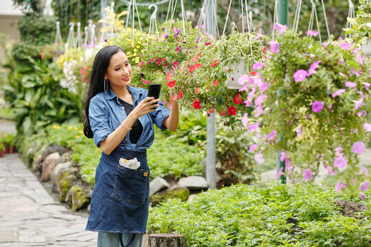 Pretty young Asian greenhouse worker in denim apron photographing blooming petunia flowers in hanging pots for social media