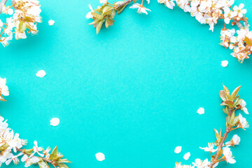 Spring border, spring blossom and April floral nature on blue background. Branches of blossoming apricot macro with soft focus. For easter and spring greeting cards with copy space. Springtime.