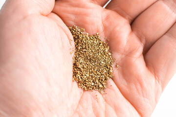 Close-up on raw golden nuggets in men's hand