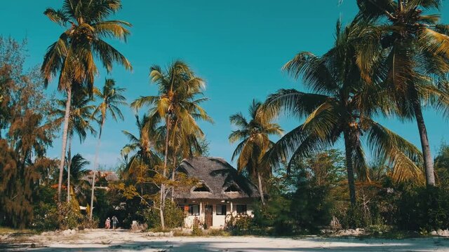 Tropical African hotel with thatched palapa roof bungalows and palm trees on blue sky background, Zanzibar. Exotic vacation. Summer hut houses on sea island. Tropical courtyard area. Panoramic view