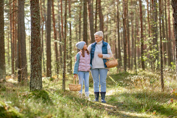 picking season, leisure and people concept - grandmother and granddaughter with baskets and mushrooms in forest