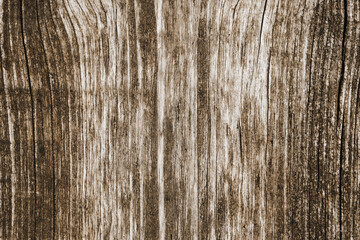 Obraz premium Wood pattern. Closeup wood texture. Wooden closeup texture. Simple wood background. Grunge tree section. Growth rings wooden desk. Brown natural stripes backdrop.