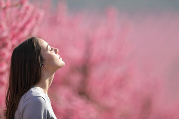 Relaxed woman breathing fresh air in a pink field - obrazy, fototapety, plakaty