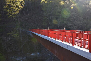 群馬　吾妻川　琴橋　4月　春