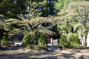 Fototapeta na wymiar 群馬　諏訪神社　4月春の風景