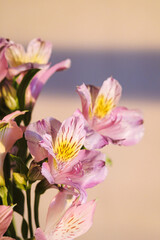 A bouquet of flowers from Alstroemeria in a glass vase
