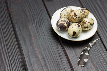 Quail eggs on white saucer. Bird feather on table
