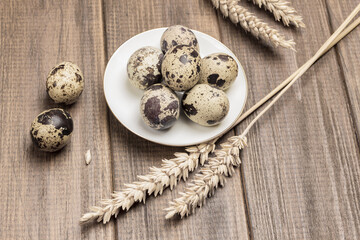 Quail eggs on white saucer. Spikelets of wheat and two eggs on table