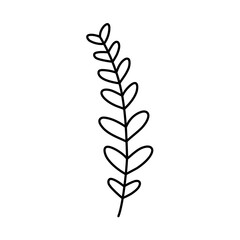 doodle with plants, foliage, leaf, grass, branch. Linear vector illustration. hand-drawn symbols and style objects . simple, black drawing for sticker, decor, postcard, badge, coloring book, logo