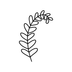 doodle with plants, foliage, leaf, grass, branch. Linear vector illustration. hand-drawn symbols and style objects . simple, black drawing for sticker, decor, postcard, badge, coloring book, logo