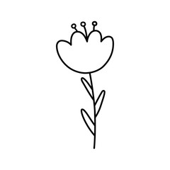 doodle with plants, flower, grass, tulip. Linear vector illustration. hand drawn style symbols and objects . simple, black drawing for sticker, decor, postcard, icon, coloring page, logo.