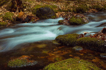 Long exposure photo of the mountain creek with rocks and leaves