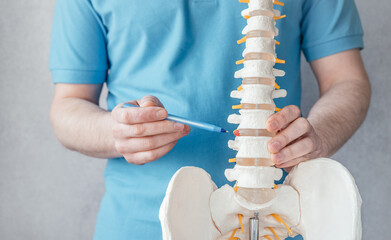 Male doctor's hand pointing at intervertebral hernia on skeleton spine model close-up, physiotherapist pointing at spine model in the clinic - obrazy, fototapety, plakaty