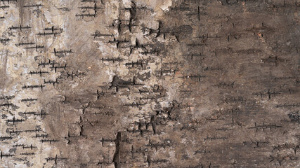 view macro wood texture for background