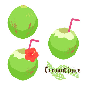 79 Best ココナッツジュース Images Stock Photos Vectors Adobe Stock 79 Best ココナッツジュース Images Stock Photos Vectors Adobe Stock