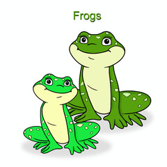 Frogs. Cartoon animals close up on a white background. Illustration for children. Material for printing.