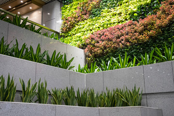 wall decorated by grass and plants. green design concept