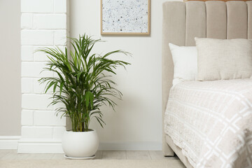 Stylish bedroom interior with exotic house plant