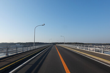 城ヶ島大橋の街灯に留まるカモメ　神奈川県三浦半島南端部と城ヶ島（離島）を結ぶ絶景橋