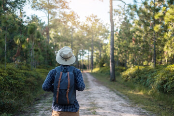 Obraz premium Young man with backpack and hat hiking in mountains during summer season, solo traveler walking in the forest. Travel, adventure and journey concept