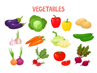 Bright vector illustration of colorful vegetables isolated on white