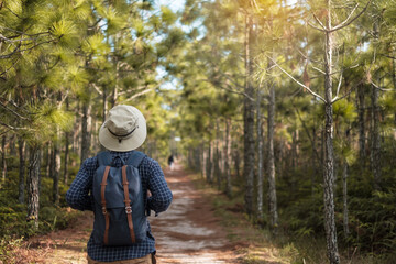 Young man with backpack and hat hiking in mountains during summer season, solo traveler walking in...