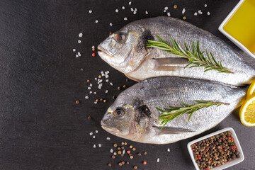Fresh fish dorado on black slate background with ingredients for cooking