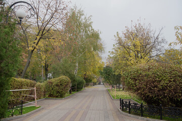 Fototapeta na wymiar Pushkinskaya Street in autumn day