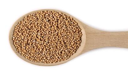 Yellow mustard seeds in wooden spoon isolated on white background, top view