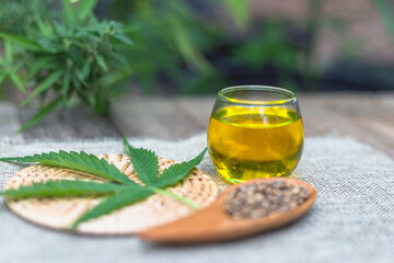 CBD hemp oil in a glass jar. The seeds in a wooden spoon are extracted from hemp oil. Research for therapeutics, alternative medicine, natural herbs are used in the treatment of