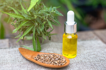 CBD hemp oil in a glass jar. The seeds in a wooden spoon are extracted from hemp oil. Research for therapeutics, alternative medicine, natural herbs are used in the treatment of