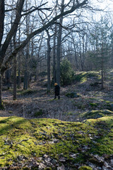 child walking on footpath in the woods