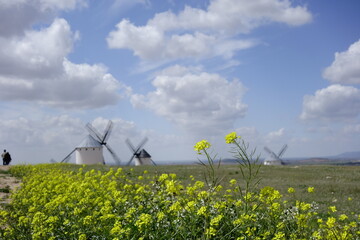 Quijote&acute;s landcapes_9