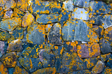 Stones with lichen