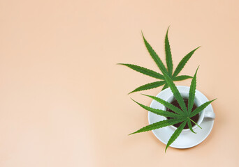 flat lay of cannabis tea and marijuana leaves on beige background.