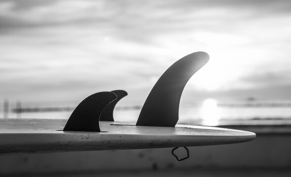 Details of surfboard fins by the sea at sunset
