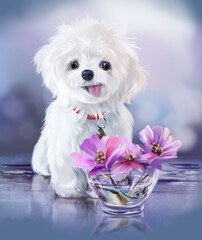 Fluffy white bichon puppy and flowers in a vase