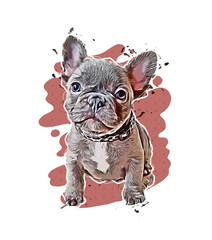 French bulldog isolated digital art illustration. Clipart of puppy domestic cute pet, hand drawn animal, dog loss and pets birthday gift. Frenchie dog, bouledogue or bouledogue francais