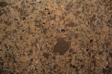 background marble surface brown